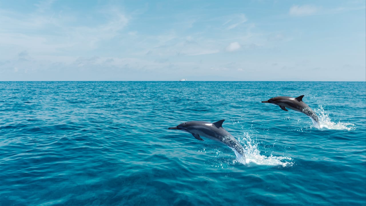 Mountain lake destination